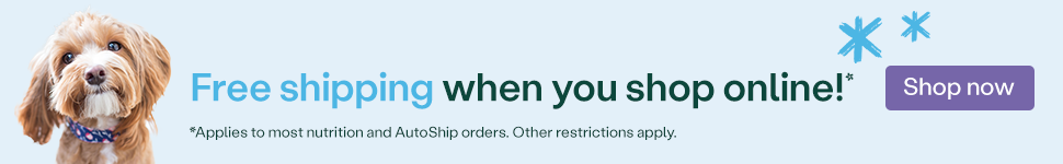 Practice Toolkit horizontal banner - dog (1)